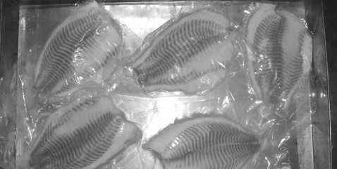 《水產(chǎn)食品加工技術(shù)》最新章節(jié) 水產(chǎn)品冷凍加工技術(shù)解析