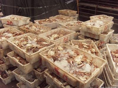 玉環(huán)縣美滋滋水產(chǎn)品 鮮活水產(chǎn)品冷凍加工及銷售的優(yōu)質企業(yè)