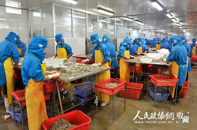 還君明珠終有時 北海市水產(chǎn)品冷凍加工的機遇與挑戰(zhàn)
