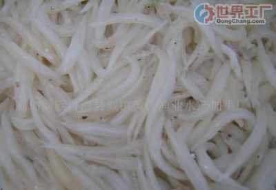 無錫市水產(chǎn)公司冷凍加工廠 專業(yè)水產(chǎn)品冷凍加工服務