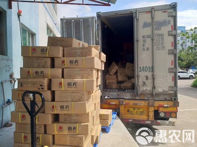 冷凍鱸魚 速鮮白蕉海鱸的現(xiàn)代水產(chǎn)加工與優(yōu)勢