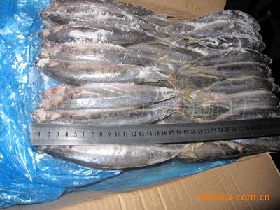 批發(fā)冷凍兩片裝四破魚 石獅市宏源水產(chǎn)的加工智慧與智農(nóng)分級體系