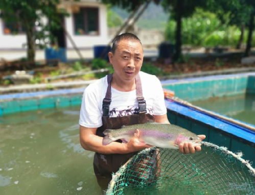 產(chǎn)量下降態(tài)勢逆轉，上半年四川漁業(yè)經(jīng)濟總產(chǎn)值同比增長7.79%