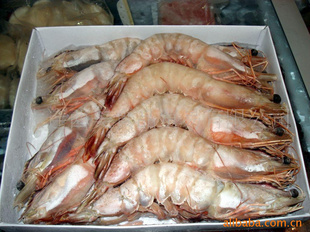 澳洲明蝦 從澳大利亞到中國(guó)大連的冷凍加工與批發(fā)市場(chǎng)分析