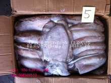 冷凍粗加工黑魚(yú) 阿里巴巴平臺(tái)上的水產(chǎn)品批發(fā)與供應(yīng)指南