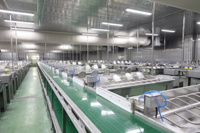 山東藍(lán)潤(rùn)集團(tuán)再獲殊榮 水產(chǎn)品冷凍加工領(lǐng)域再譜新篇