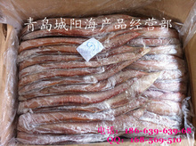 細(xì)鱗魚(yú)冷凍加工 現(xiàn)代水產(chǎn)品批發(fā)與供應(yīng)的優(yōu)質(zhì)選擇