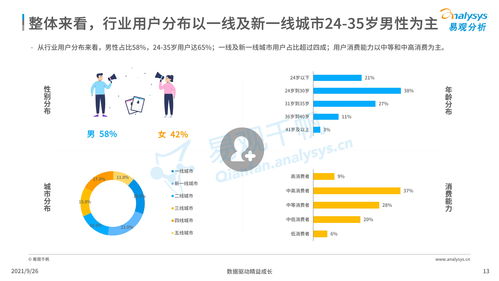 《中國智能語音轉(zhuǎn)寫工具行業(yè)發(fā)展洞察2021 人工智能應(yīng)用軟件開發(fā)的浪潮與未來》