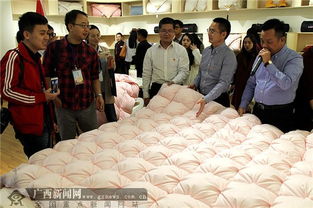 全國(guó)網(wǎng)媒聚焦中國(guó)羽絨之鄉(xiāng) 港南橋圩羽絨及制品加工發(fā)展新格局